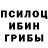 Псилоцибиновые грибы ЛСД endrede545
