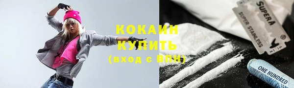 ГАЛЛЮЦИНОГЕННЫЕ ГРИБЫ Абаза