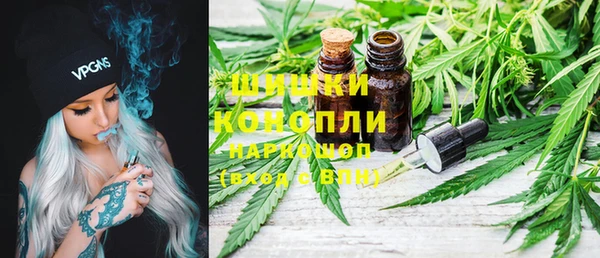 ГАЛЛЮЦИНОГЕННЫЕ ГРИБЫ Абаза