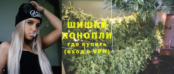 ГАЛЛЮЦИНОГЕННЫЕ ГРИБЫ Абаза