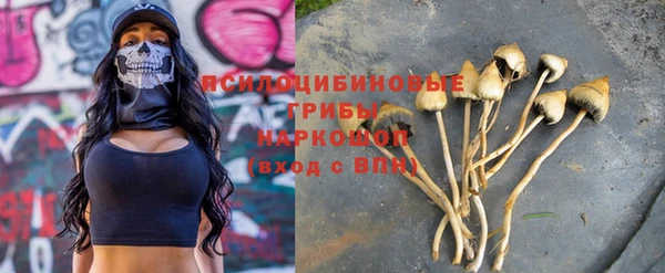 бошки Алзамай